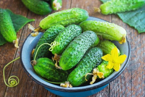 Cucumber and Gherkin Market in the EU - Key Insights